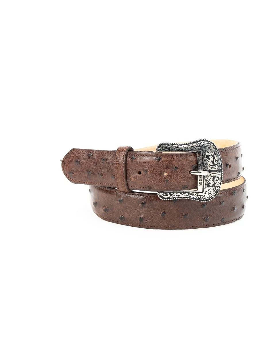 TANNER MARK EXOTIC BELT Ostrich Brown Luxury Belt