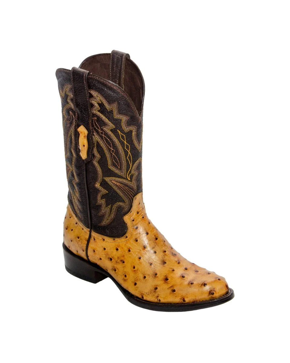 REPARO TX Men’s Ostrich Print Buttercup Western Boots With Brown Top